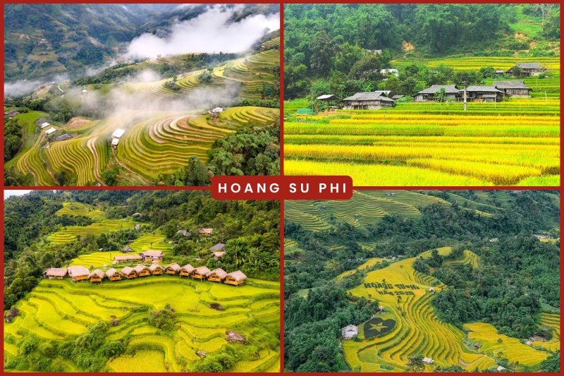 Los campos en terrazas de Hoang Su Phi